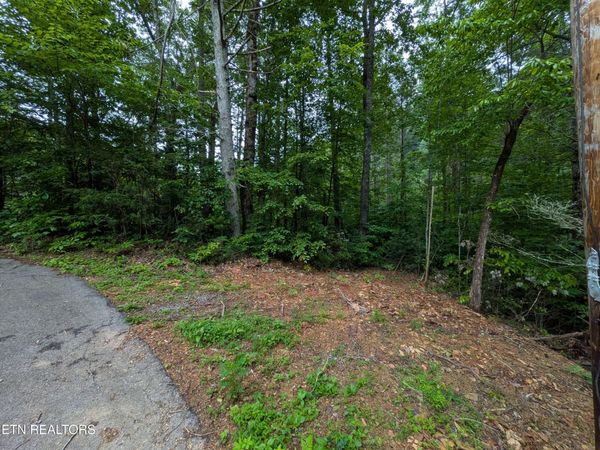 438 Kurt's Corner Rd, Townsend, TN 37882