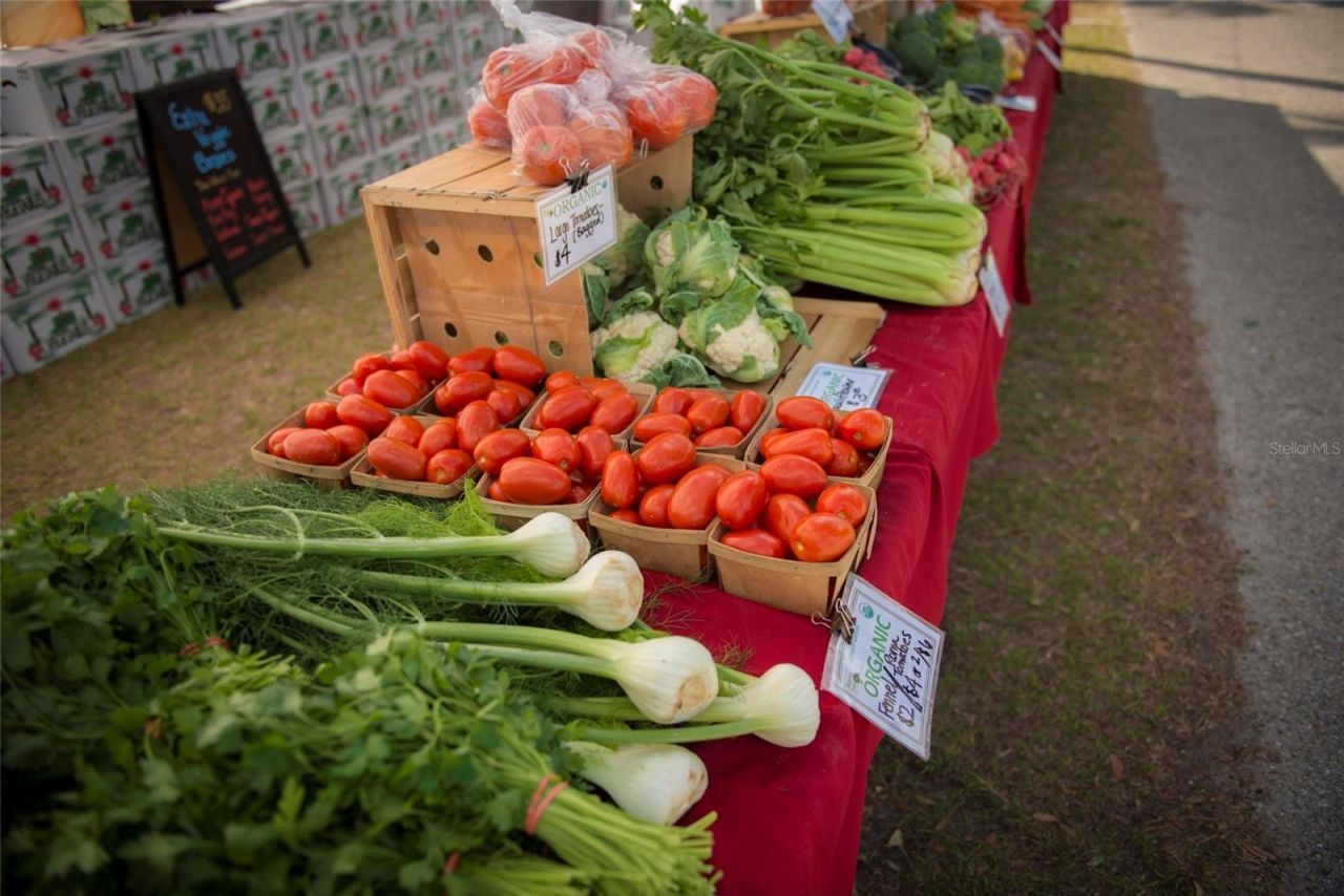 8422 Wethersfield Run, Unit 103, Lakewood Ranch, FL 34202 Photo