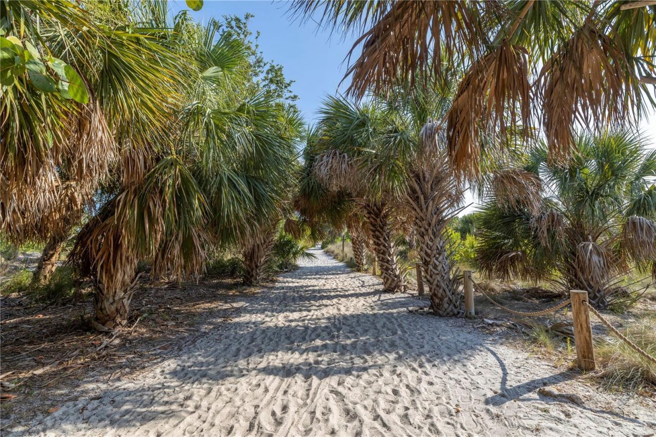 310 Avenida Milano, Sarasota, FL 34242 Photo