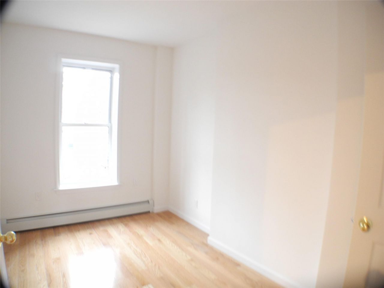 237 Madison Street, Brooklyn, NY 11216 Main Photo