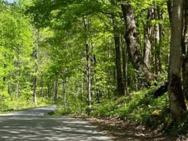 95.43 Sheep Bluff Road, Cookeville, TN 38506