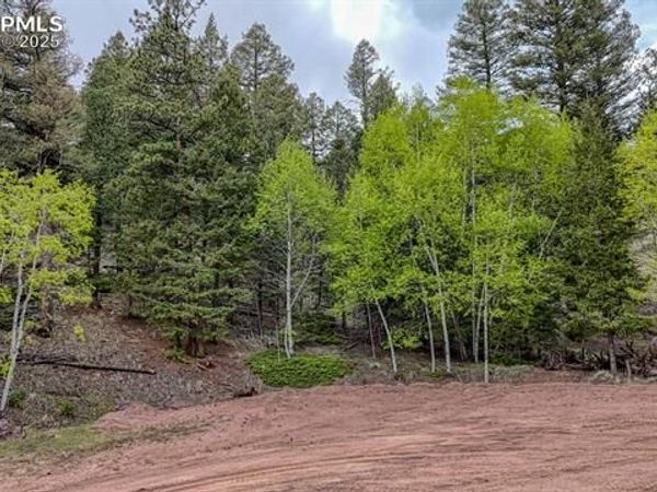 918 Pinon Lane, Florissant, CO 80816