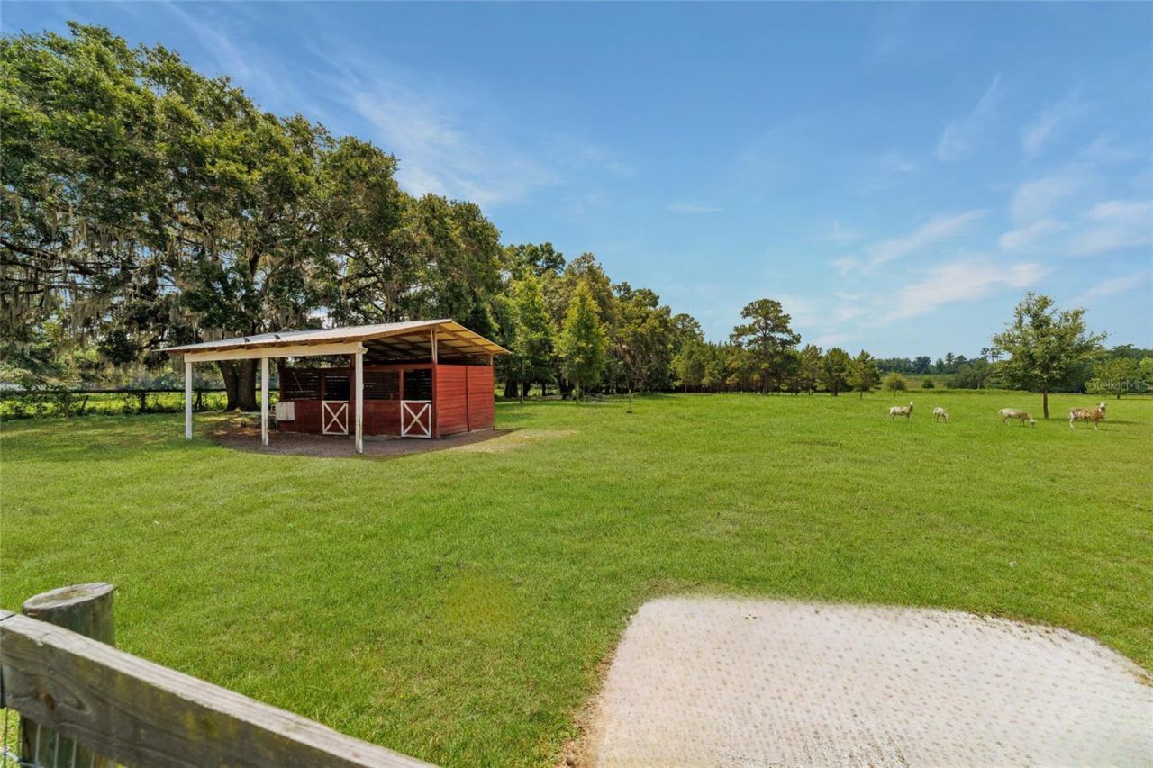 16520 NW 170th Street, Williston, FL 32696 Photo