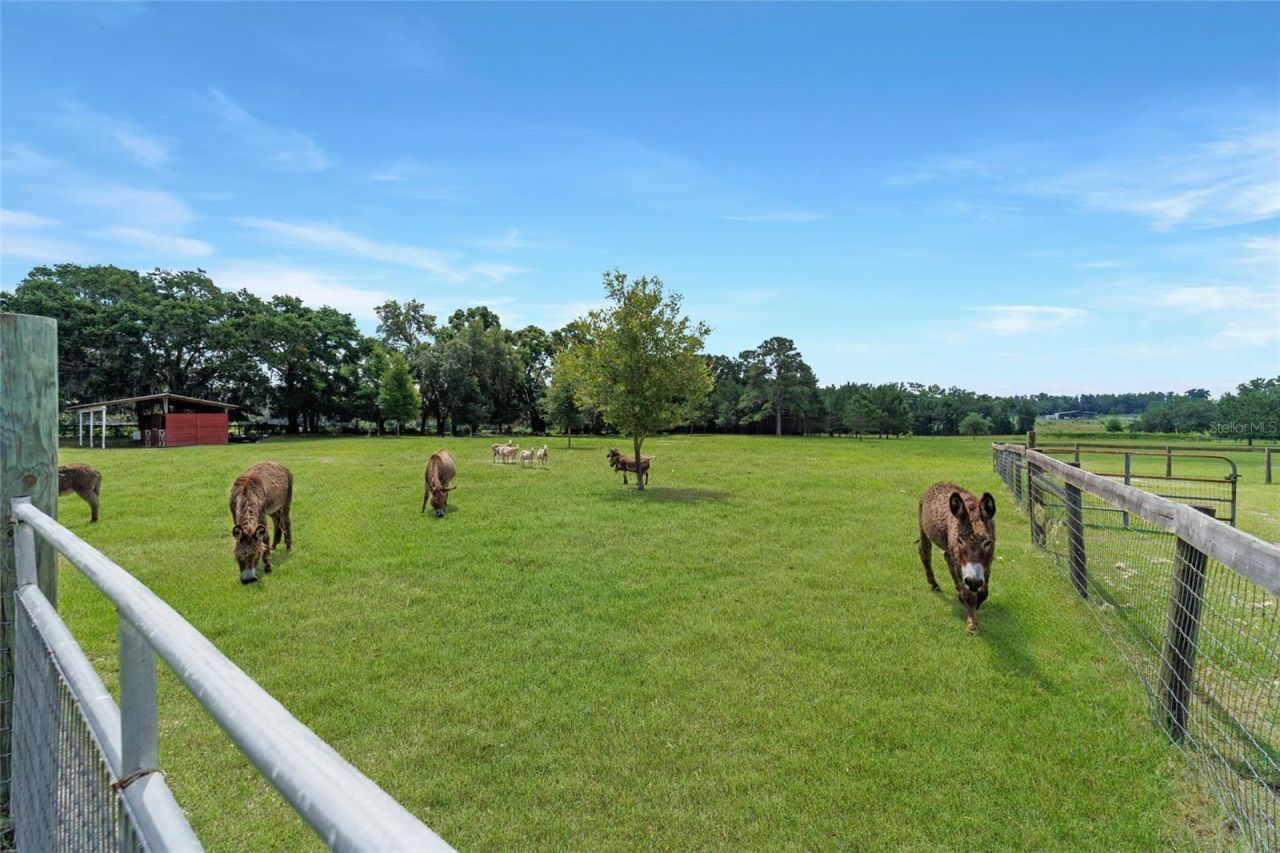 16520 NW 170th Street, Williston, FL 32696 Photo