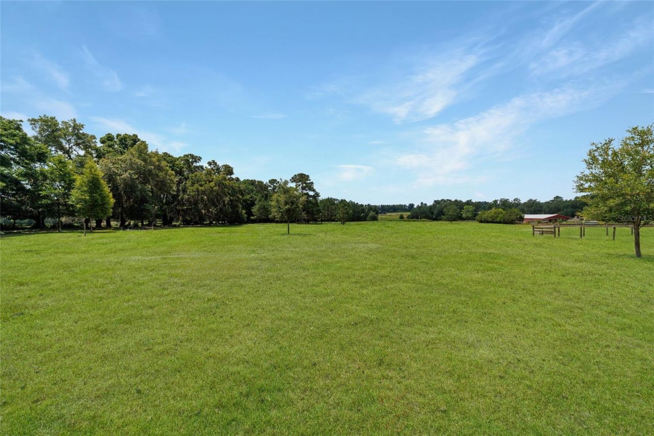 16520 NW 170th Street, Williston, FL 32696 Photo