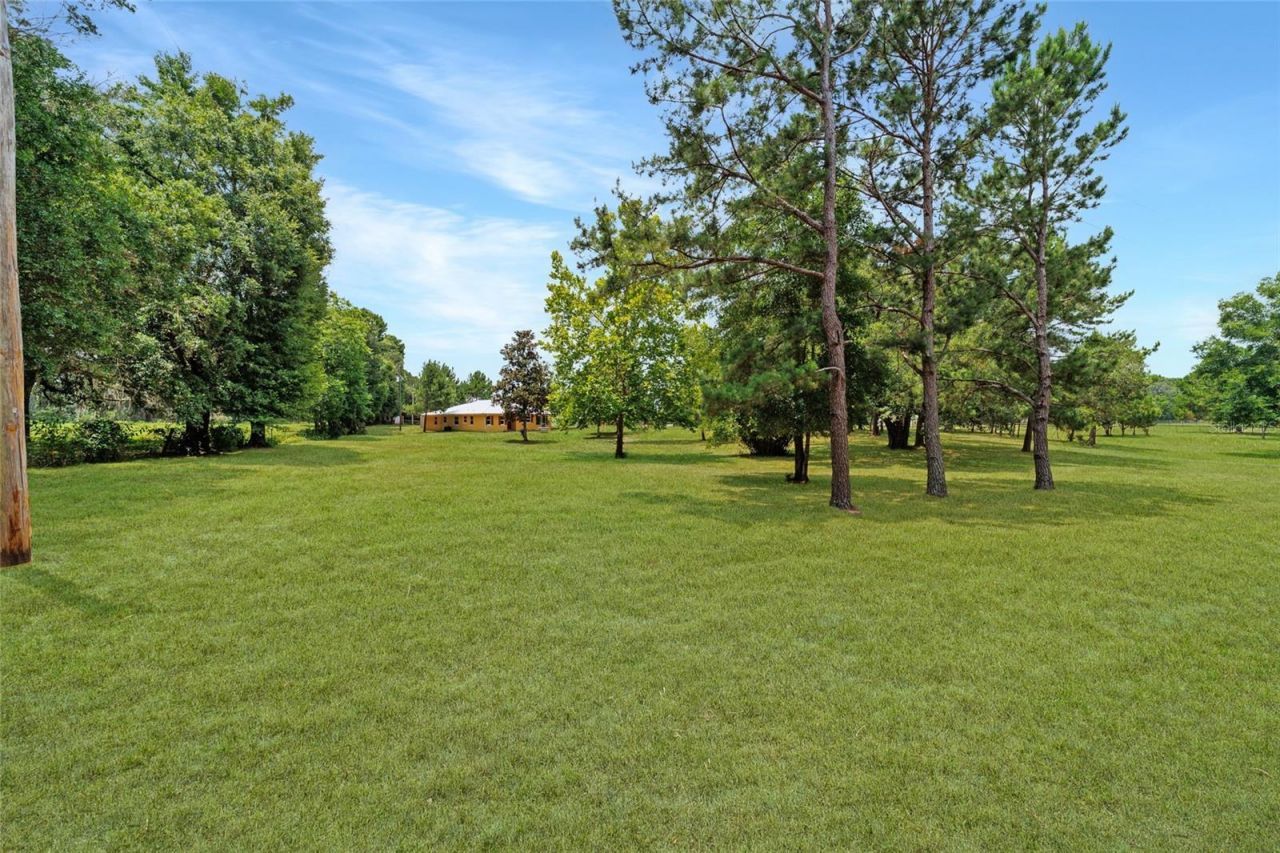 16520 NW 170th Street, Williston, FL 32696 Photo