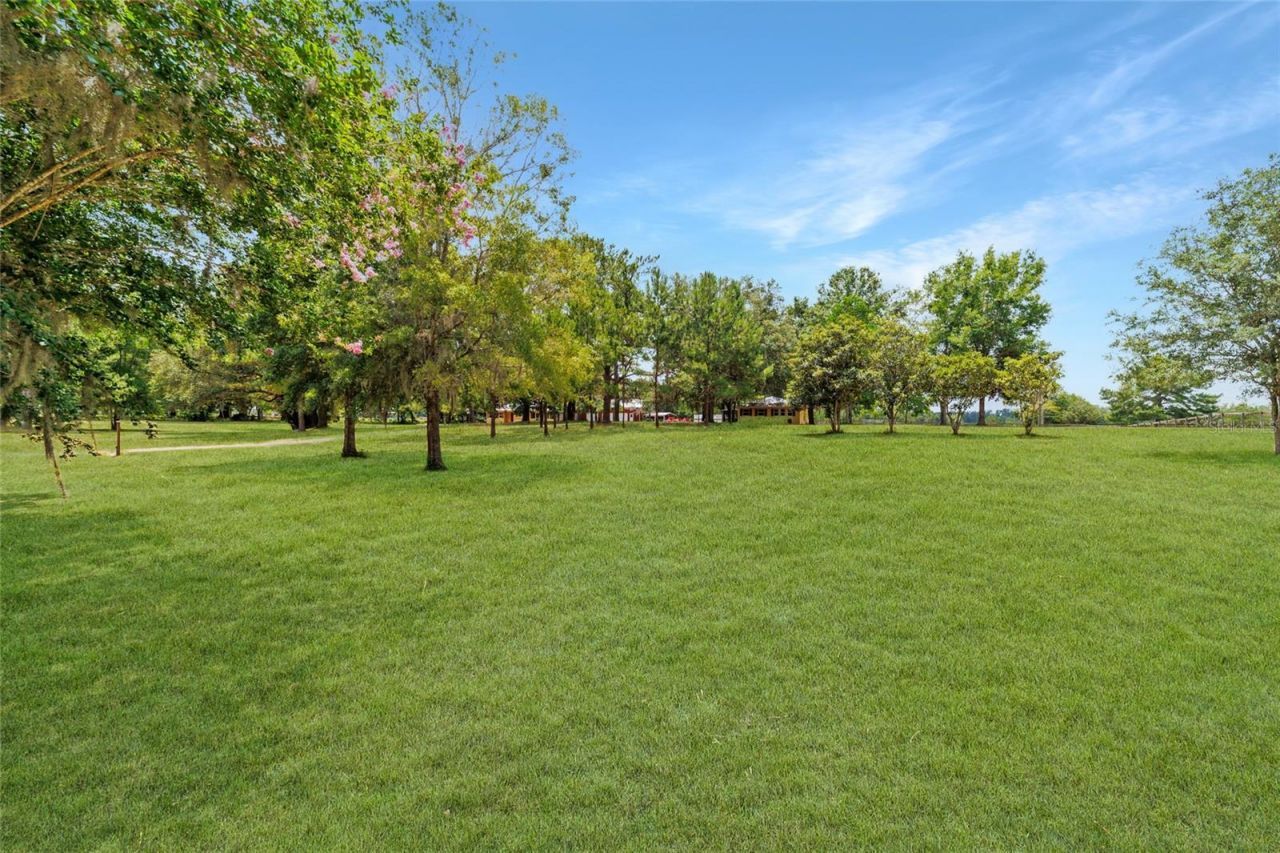 16520 NW 170th Street, Williston, FL 32696 Photo