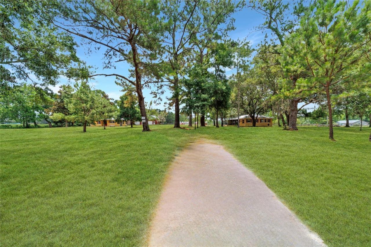 16520 NW 170th Street, Williston, FL 32696 Photo