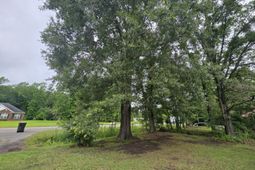 2200 State Road Road photo 4