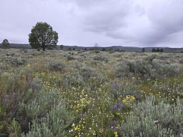 0 Tableland Road, Unit 3800, Sprague River, OR 97639