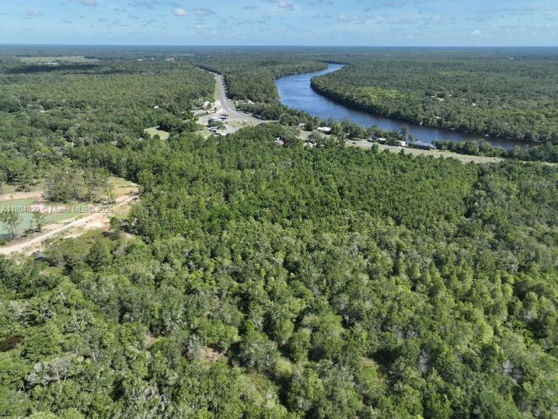 Hwy 19, Old Town, FL 32680 Photo