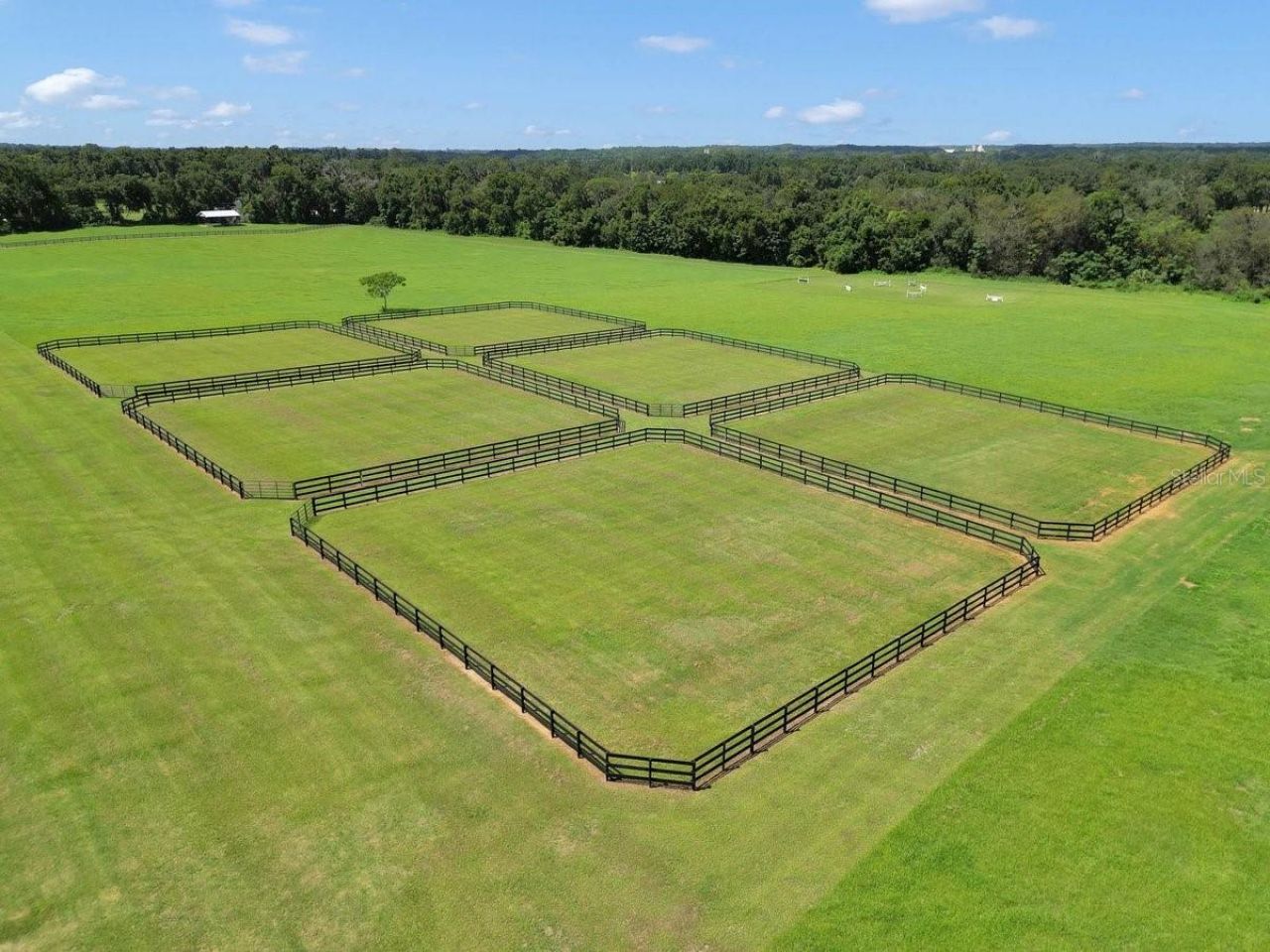 1631 W Hwy 329, Citra, FL 32113 Photo