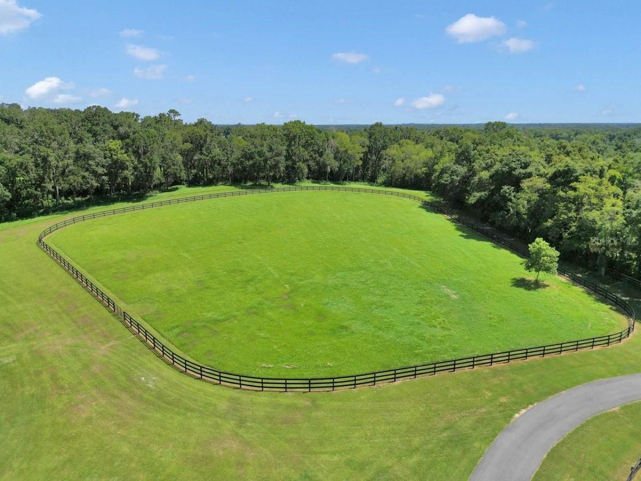 1631 W Hwy 329, Citra, FL 32113 Photo