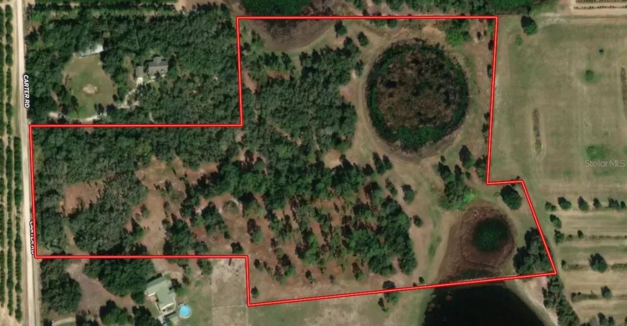 Mammoth Grove Road, Lake Wales, FL 33898 Photo