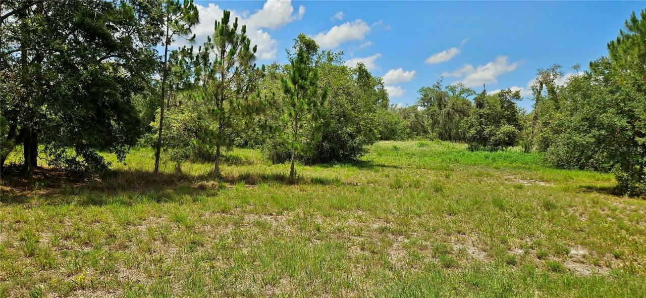Mammoth Grove Road, Lake Wales, FL 33898 Photo