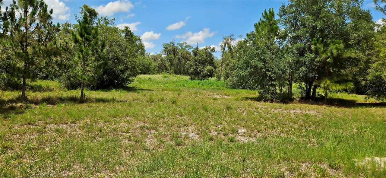 Mammoth Grove Road, Lake Wales, FL 33898 Photo