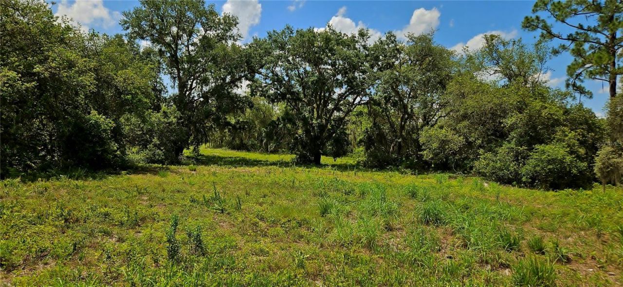 Mammoth Grove Road, Lake Wales, FL 33898 Photo