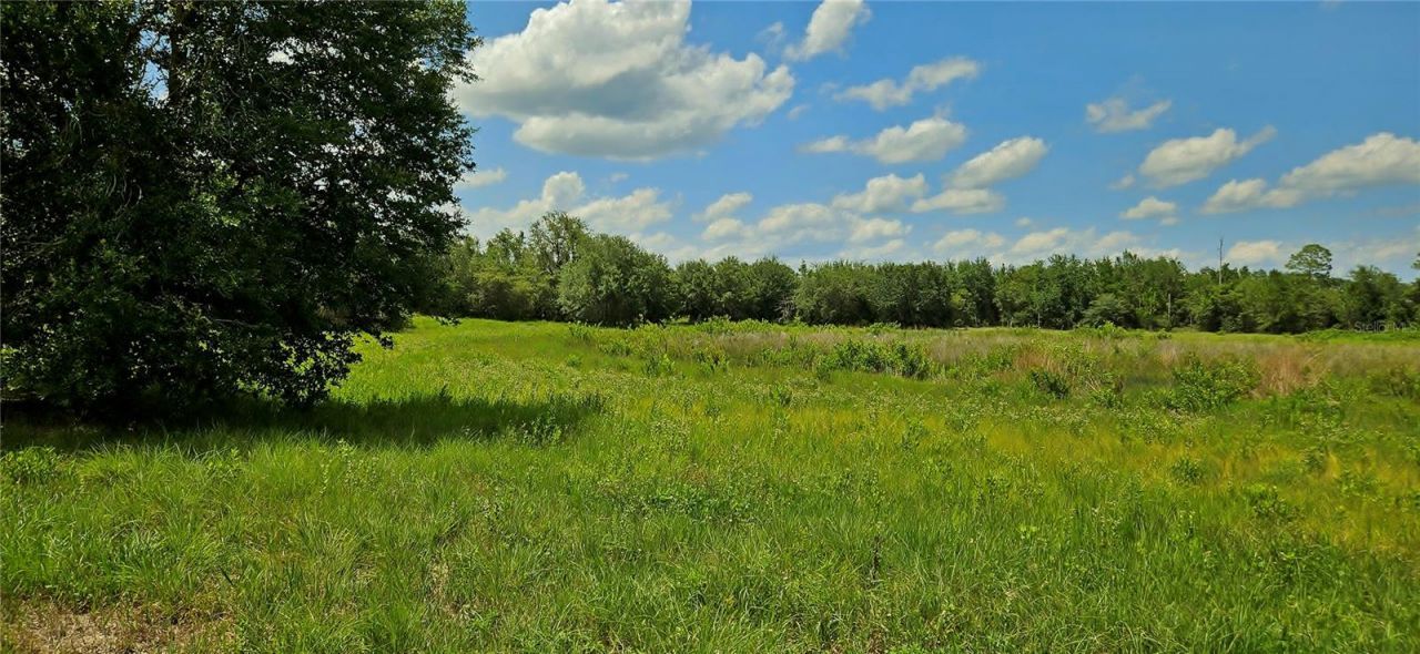 Mammoth Grove Road, Lake Wales, FL 33898 Photo