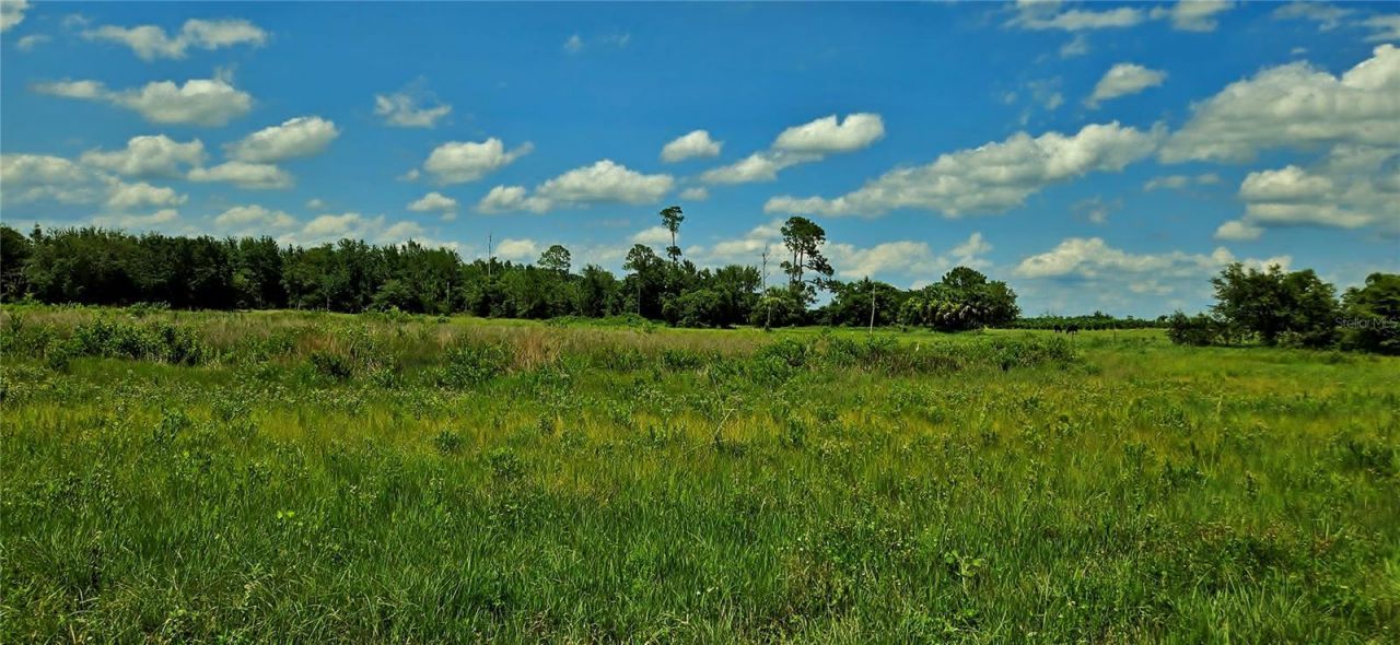 Mammoth Grove Road, Lake Wales, FL 33898 Photo