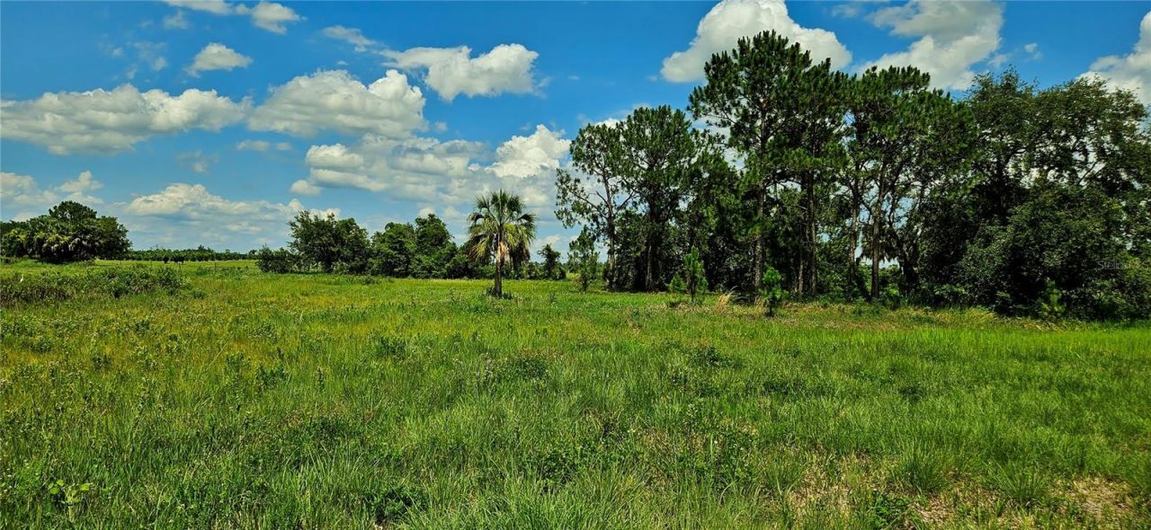 Mammoth Grove Road, Lake Wales, FL 33898 Photo