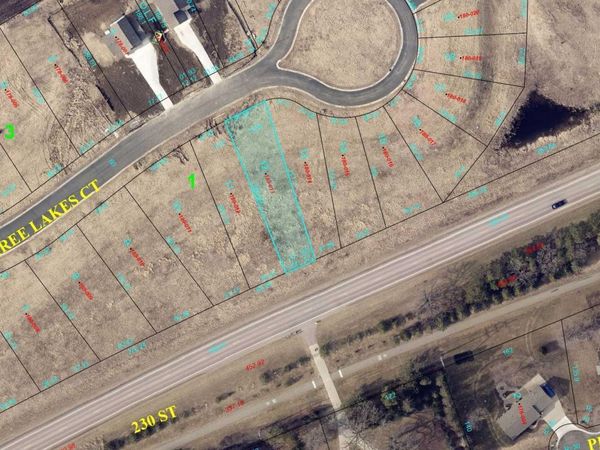 917 Three Lakes Court, Madison Lake, MN 56063