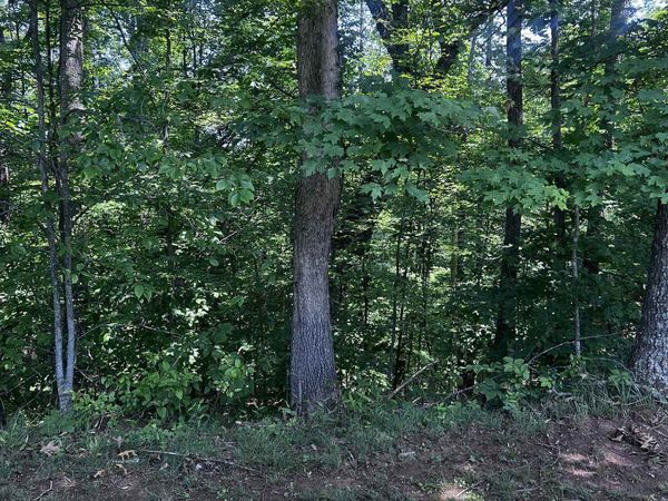 LT 24 Jericho Road, Ona, WV 25545