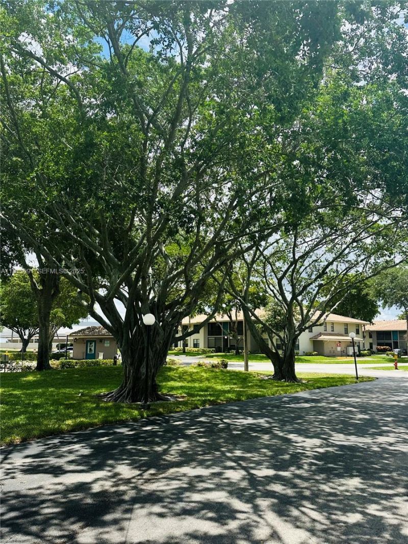 9965 Pineapple Tree Dr, Unit 203, Boynton Beach, FL 33436 Photo