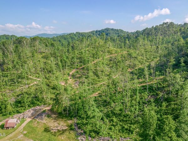 00 Antioch Road, Mountain City, TN 37683