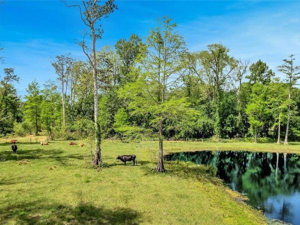 TBD CORKWOOD LANE, ASTATULA, FL 34705