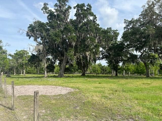 Tbd Corkwood Lane, Astatula, FL 34705 Photo