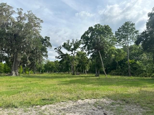 Tbd Corkwood Lane, Astatula, FL 34705 Photo