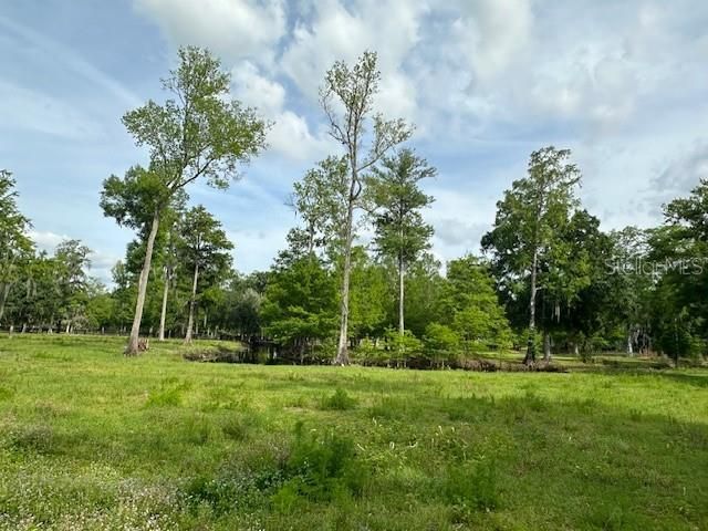 Tbd Corkwood Lane, Astatula, FL 34705 Photo