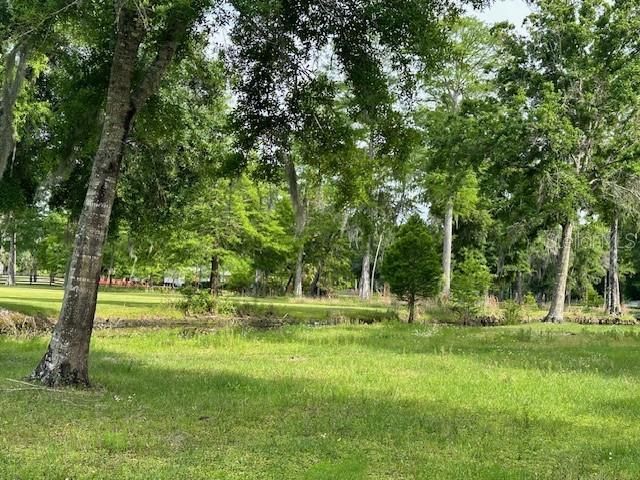 Tbd Corkwood Lane, Astatula, FL 34705 Photo