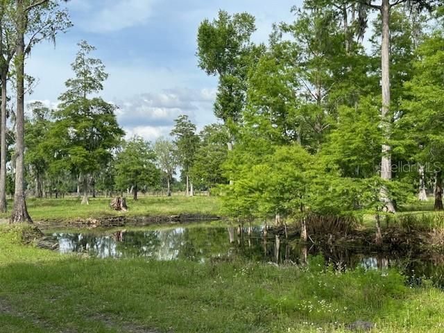 Tbd Corkwood Lane, Astatula, FL 34705 Photo