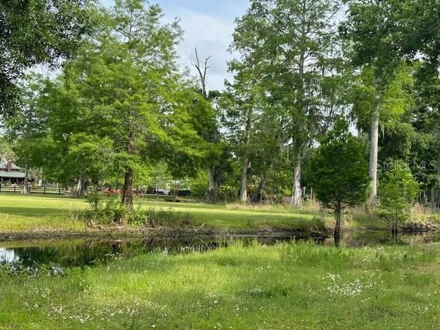 Tbd Corkwood Lane, Astatula, FL 34705 Photo