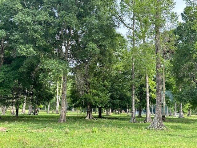 Tbd Corkwood Lane, Astatula, FL 34705 Photo