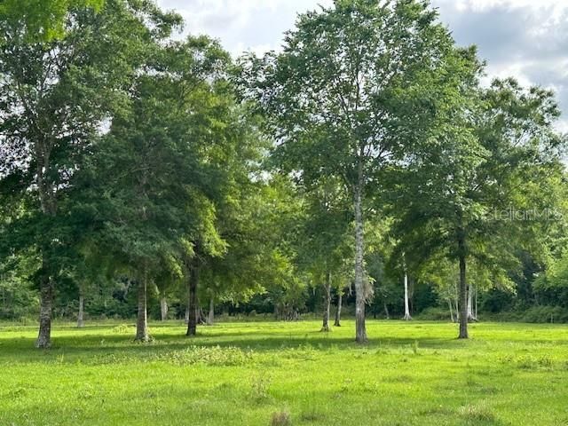 Tbd Corkwood Lane, Astatula, FL 34705 Photo