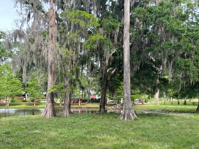 Tbd Corkwood Lane, Astatula, FL 34705 Photo