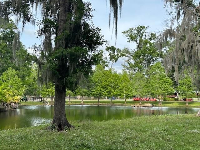 Tbd Corkwood Lane, Astatula, FL 34705 Photo