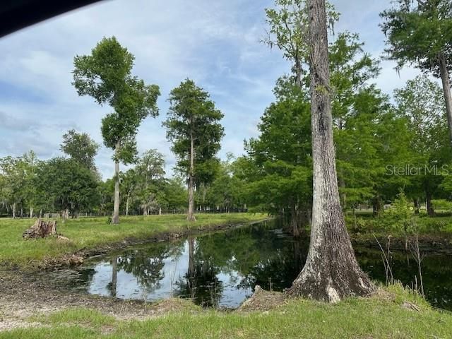 Tbd Corkwood Lane, Astatula, FL 34705 Photo
