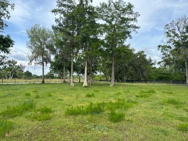 Tbd Corkwood Lane, Astatula, FL 34705 Photo