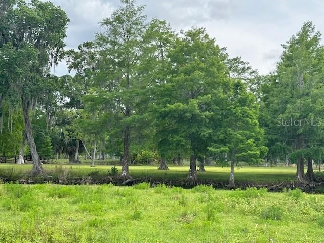 Tbd Corkwood Lane, Astatula, FL 34705 Photo