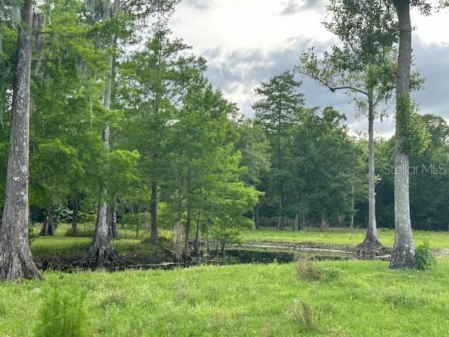 Tbd Corkwood Lane, Astatula, FL 34705 Photo