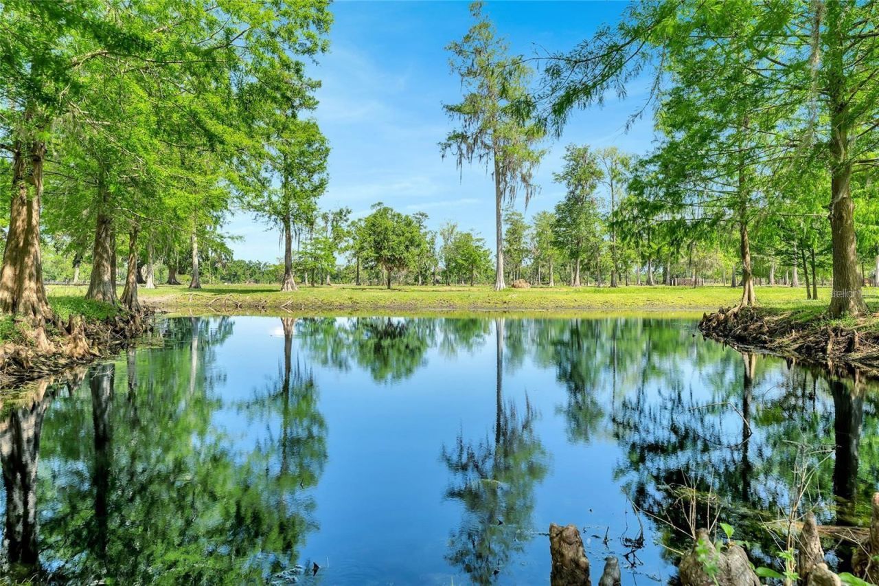 Tbd Corkwood Lane, Astatula, FL 34705 Photo