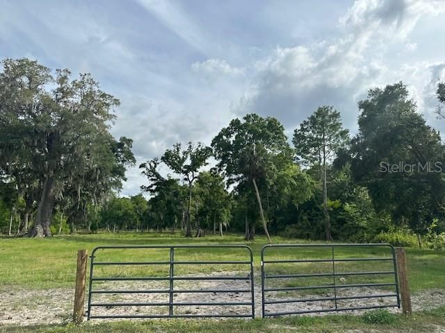 Tbd Corkwood Lane, Astatula, FL 34705 Photo