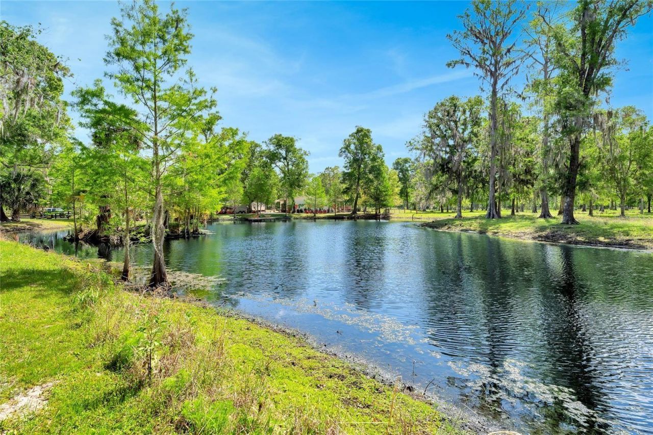 Tbd Corkwood Lane, Astatula, FL 34705 Photo