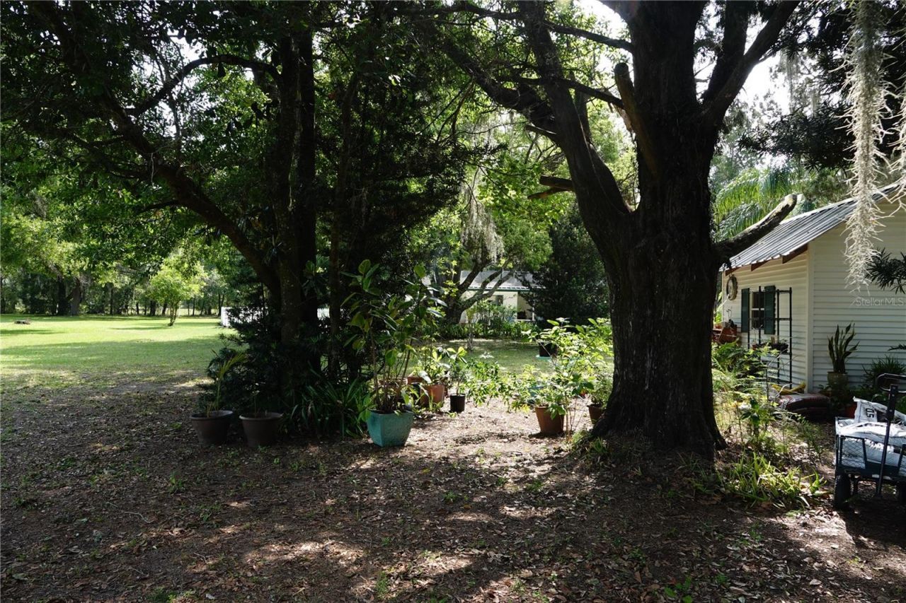 22839 Bungalow Lane, Land O Lakes, FL 34639 Photo