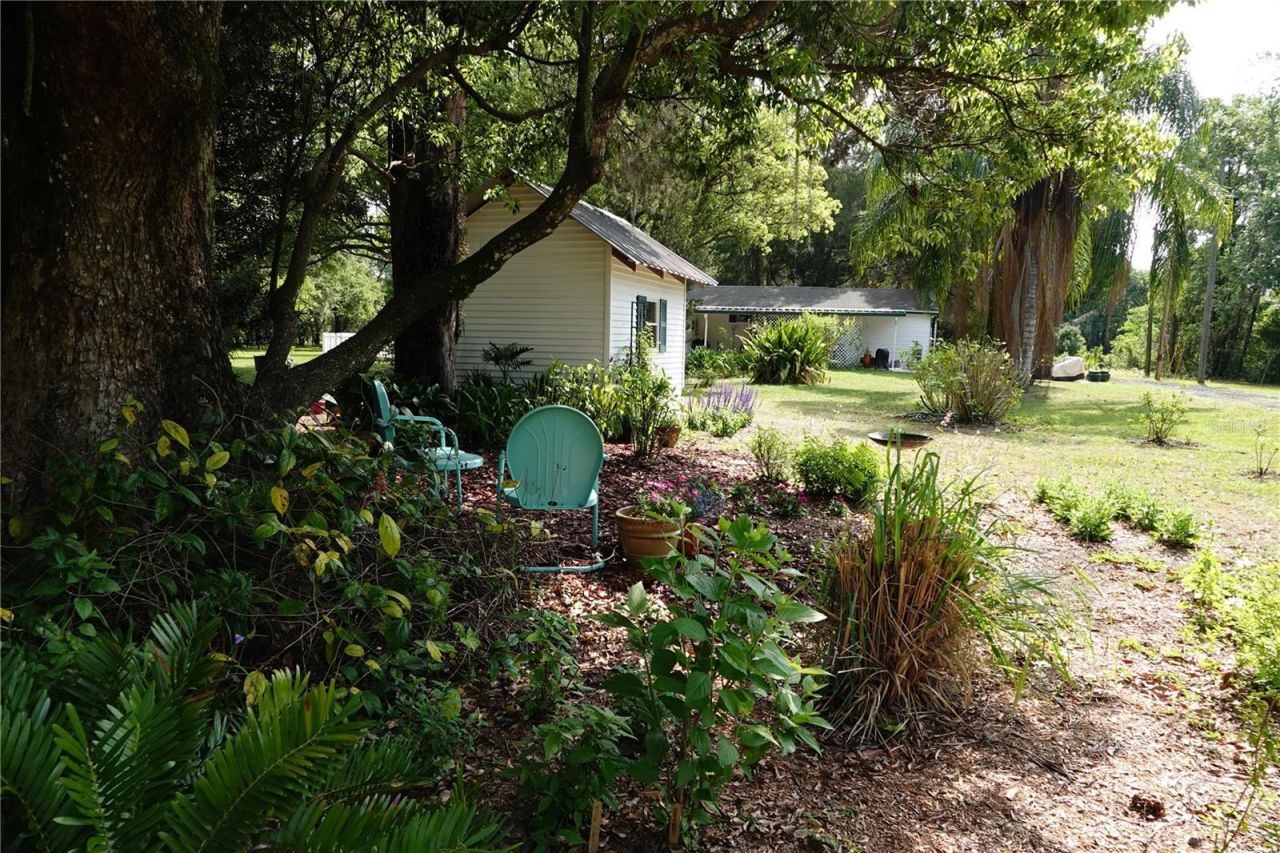 22839 Bungalow Lane, Land O Lakes, FL 34639 Photo