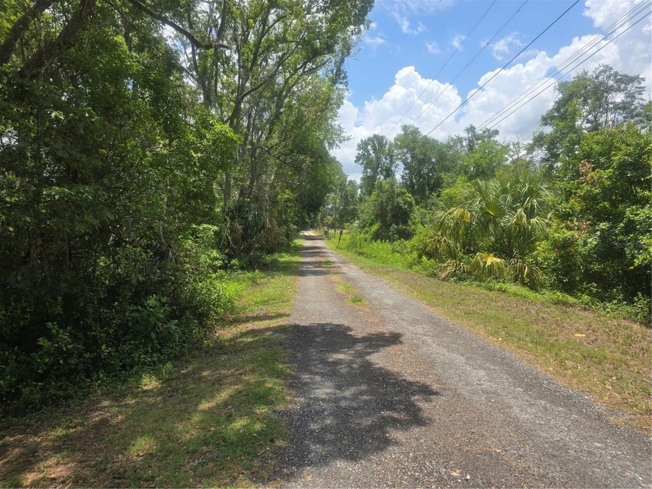 22839 Bungalow Lane, Land O Lakes, FL 34639 Photo