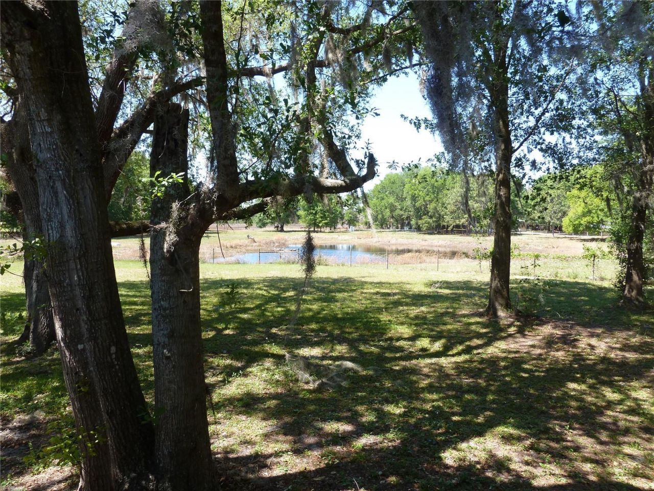 22839 Bungalow Lane, Land O Lakes, FL 34639 Photo